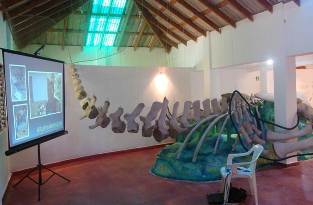 Museo de las ballenas samana 3